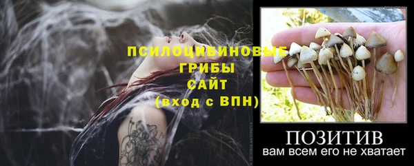кокаин перу Богородицк