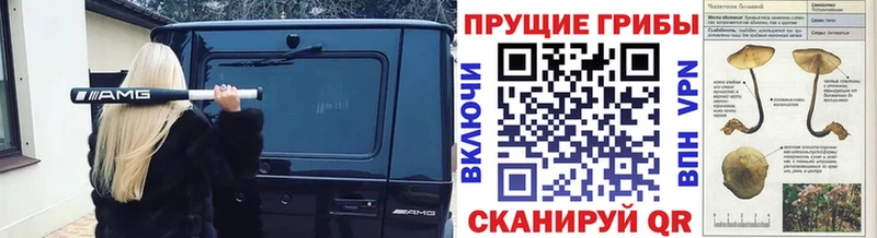 shop наркотические препараты  Ковдор  Псилоцибиновые грибы ЛСД 